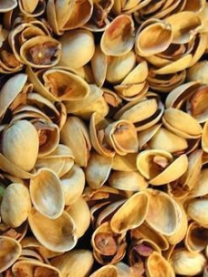 pistachios shell
